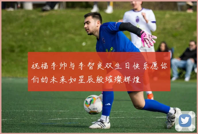 祝福李帅与李智良双生日快乐愿你们的未来如星辰般璀璨辉煌